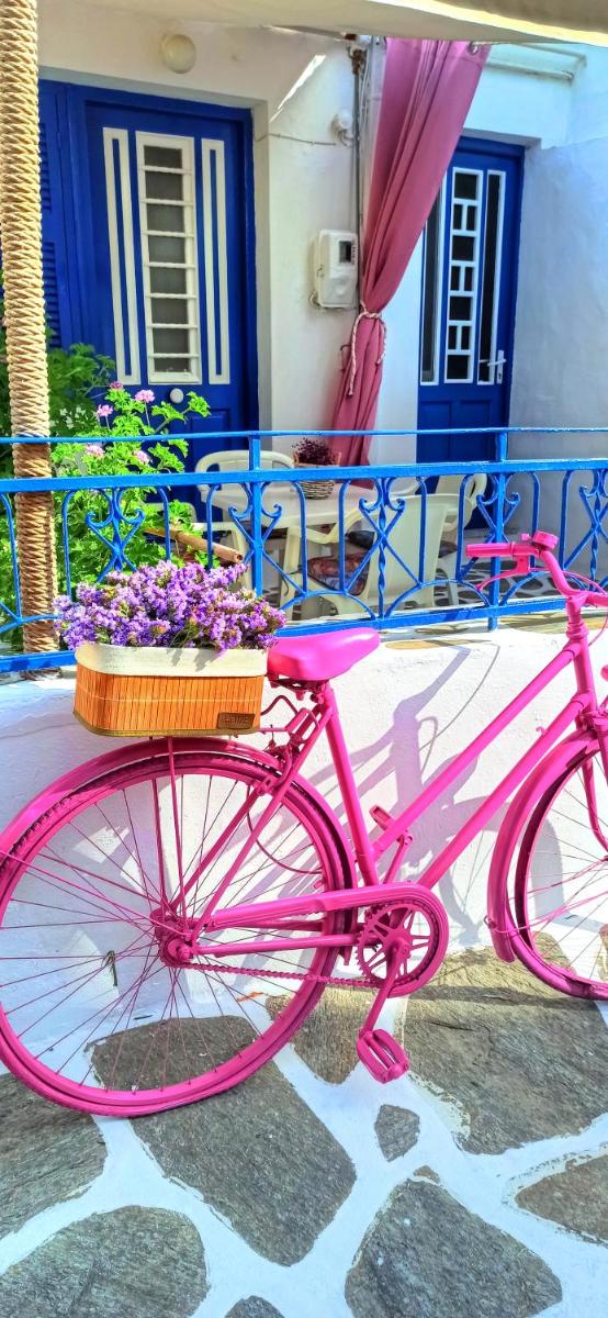 The Hot Pink Bike House - Housity