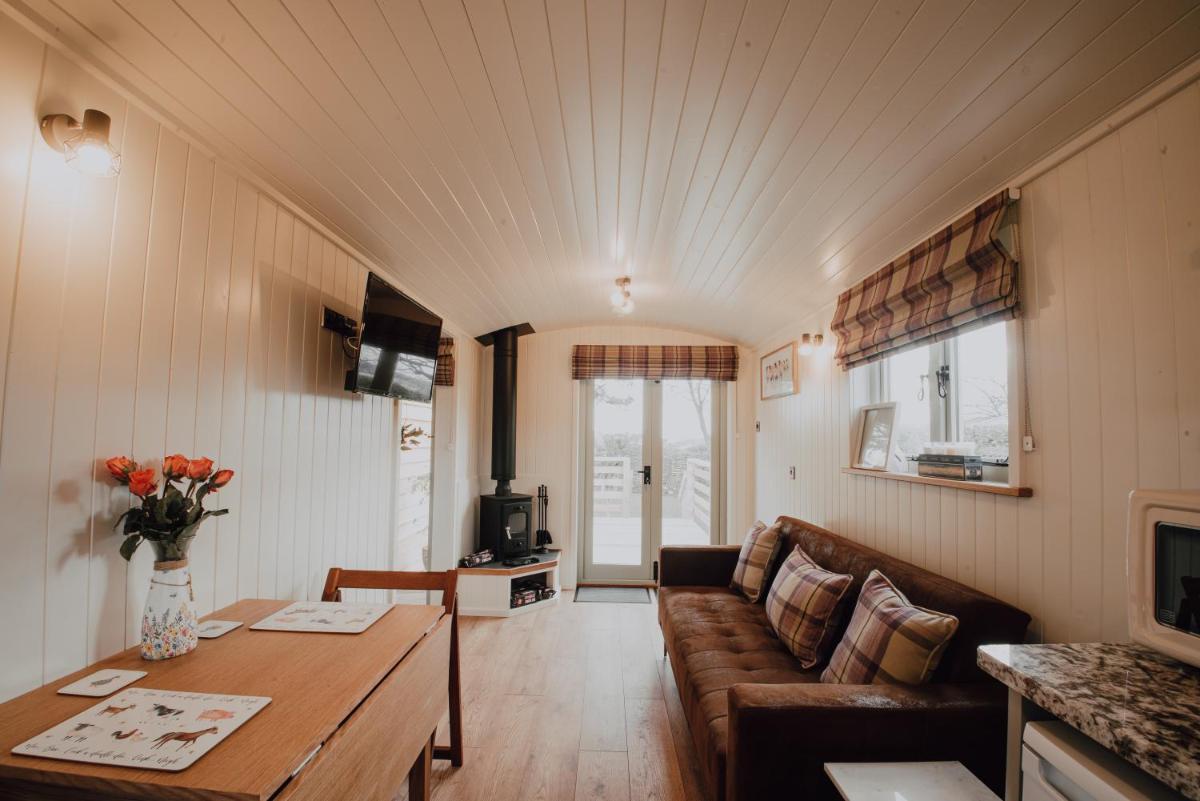 Boutique Twin Shepherds Hut Tranquil nr Llandudno - Housity