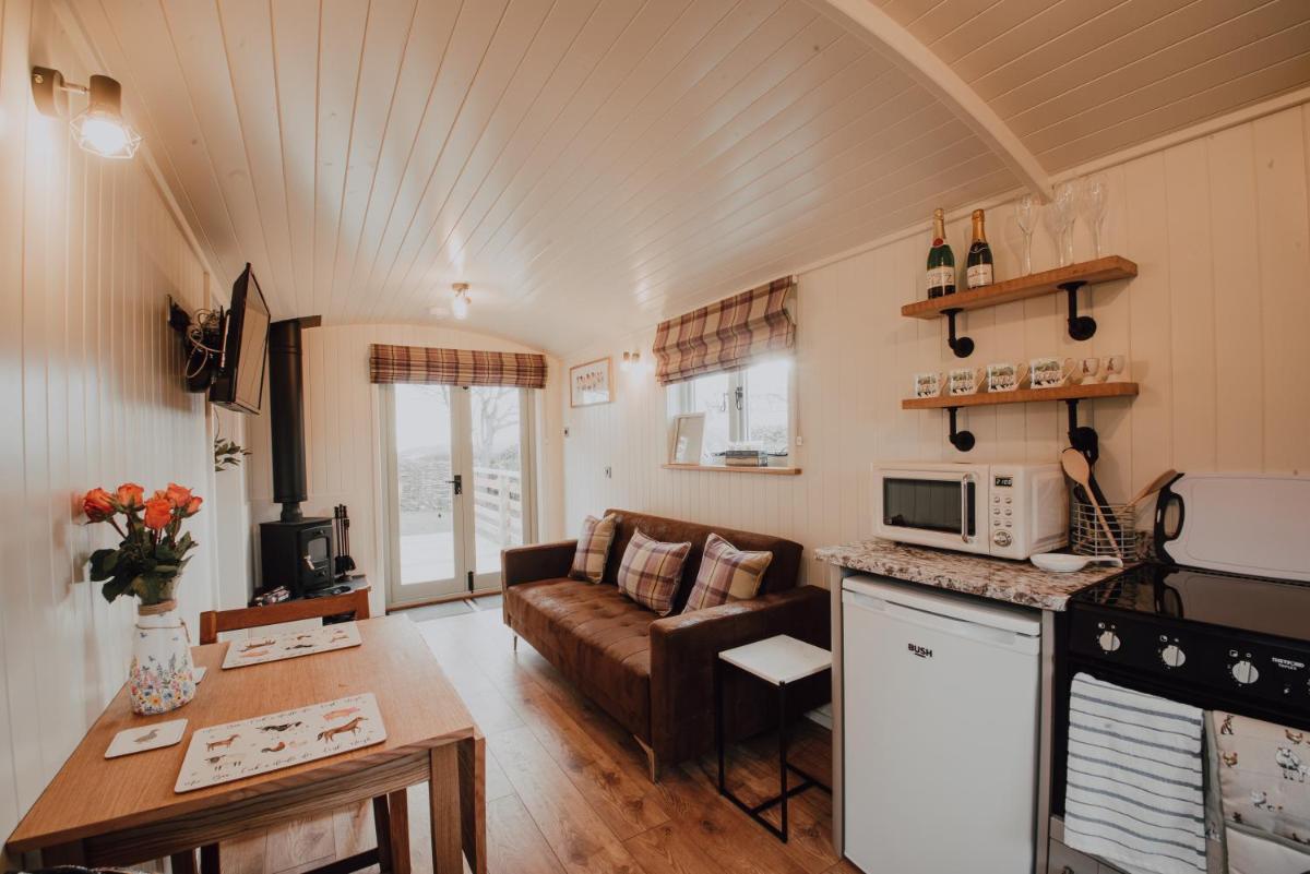 Boutique Twin Shepherds Hut Tranquil nr Llandudno - Housity