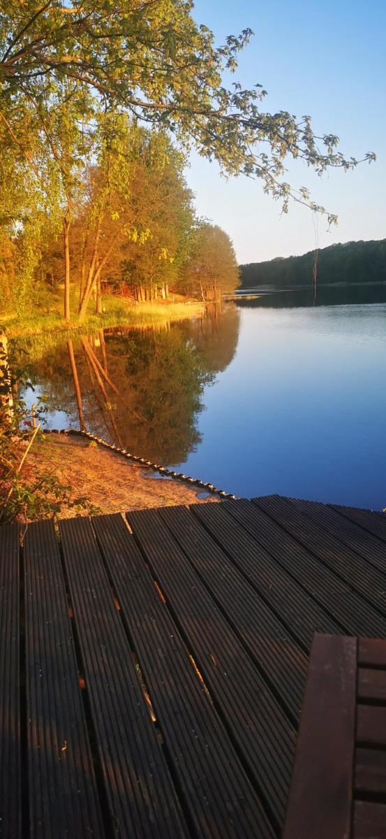 Domek nad jeziorem - Housity