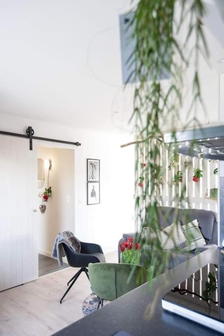 Suitetrails - Zalig Cosy appartement 2-4 pers.fietsen & tuin