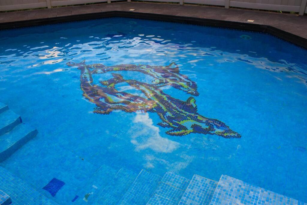 Casa Danta - Housity