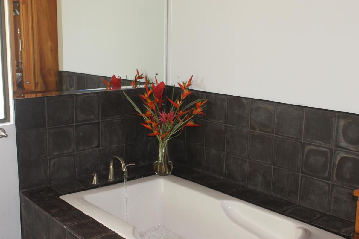 Casa Danta - Housity