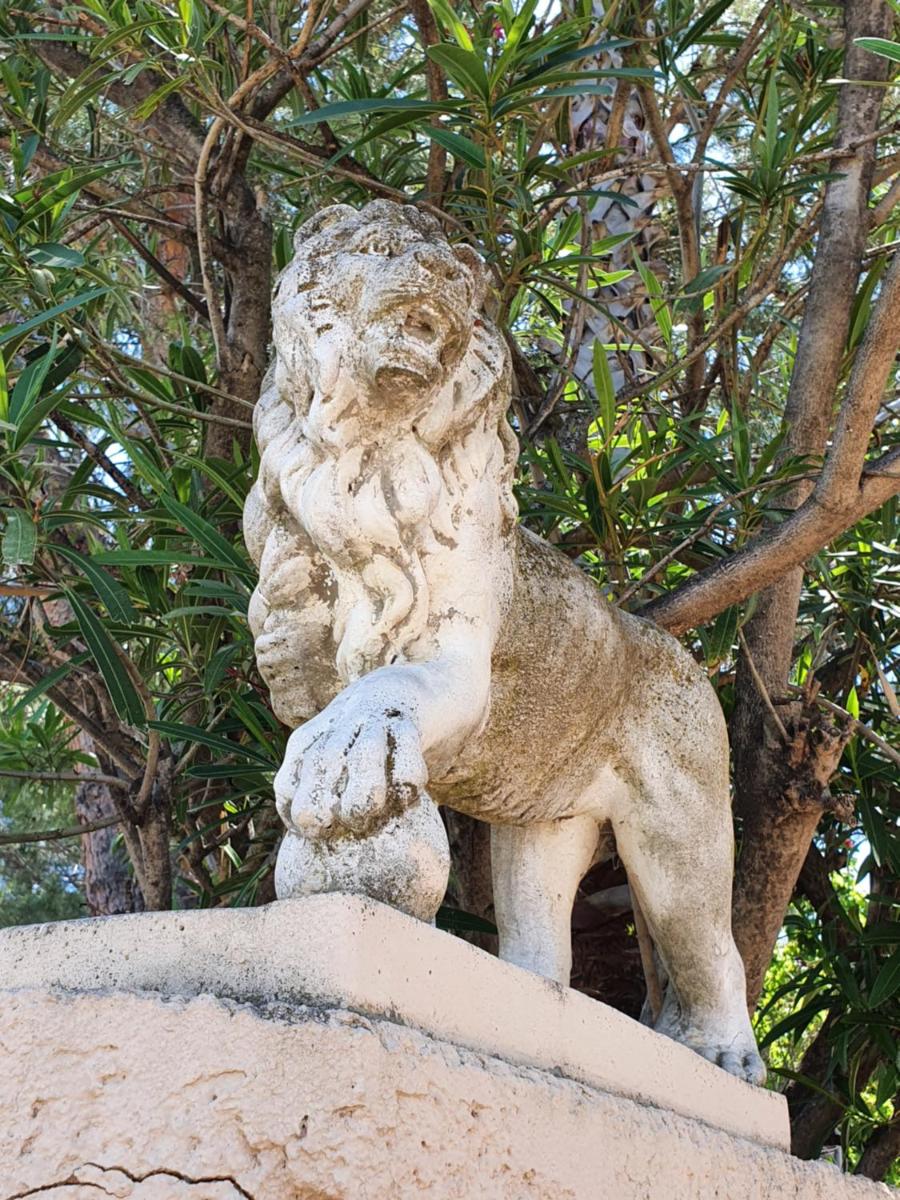 Villa les palmiers -Stretta di i mandarini - Housity