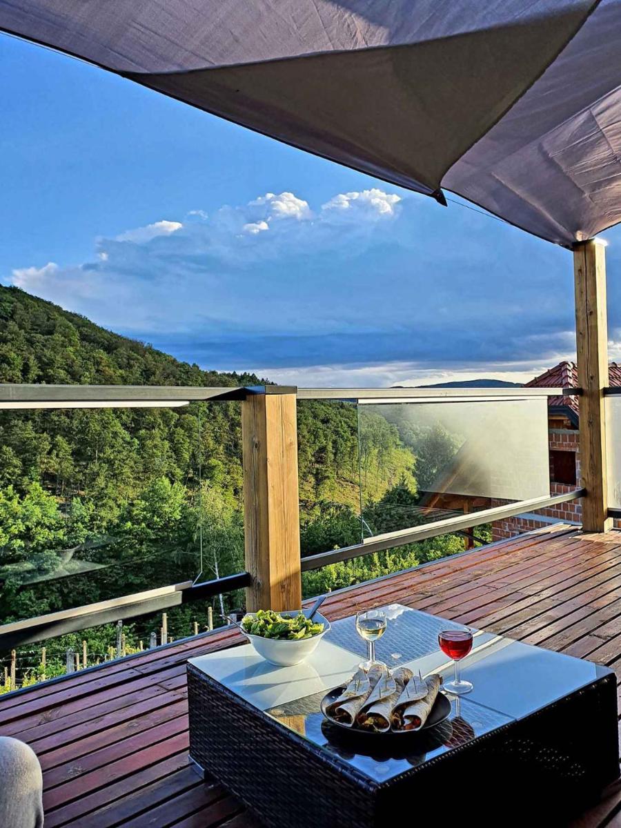 Holiday home in Trebnje Kranjska Krain 42897 - Housity