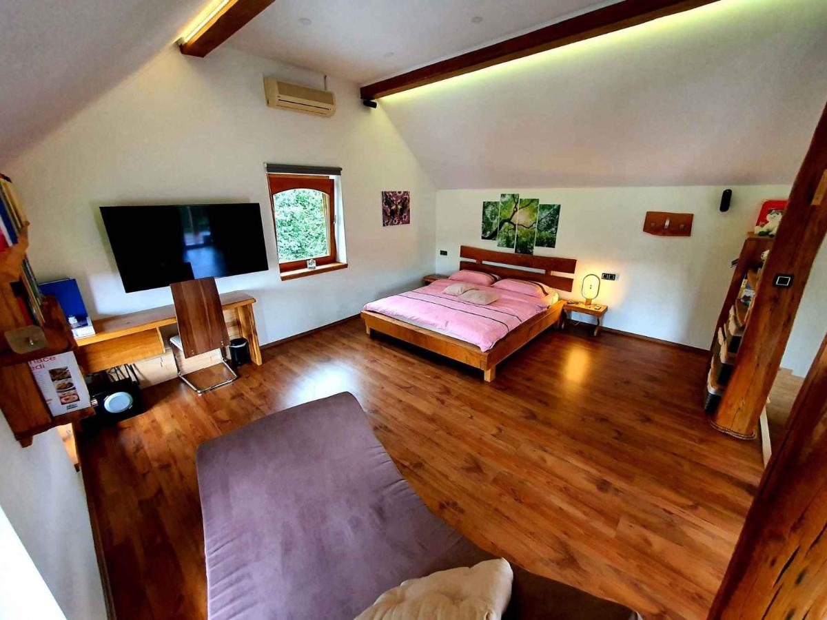 Suitetrails - Holiday home in Trebnje Kranjska Krain 42897