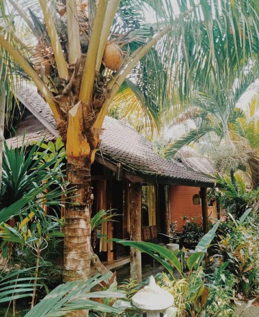 Suitetrails - Jembrana Bali Homestay