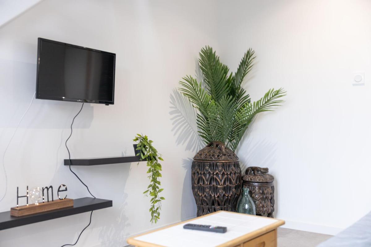Doux Cocon Tropical au cœur du centre ville - Housity