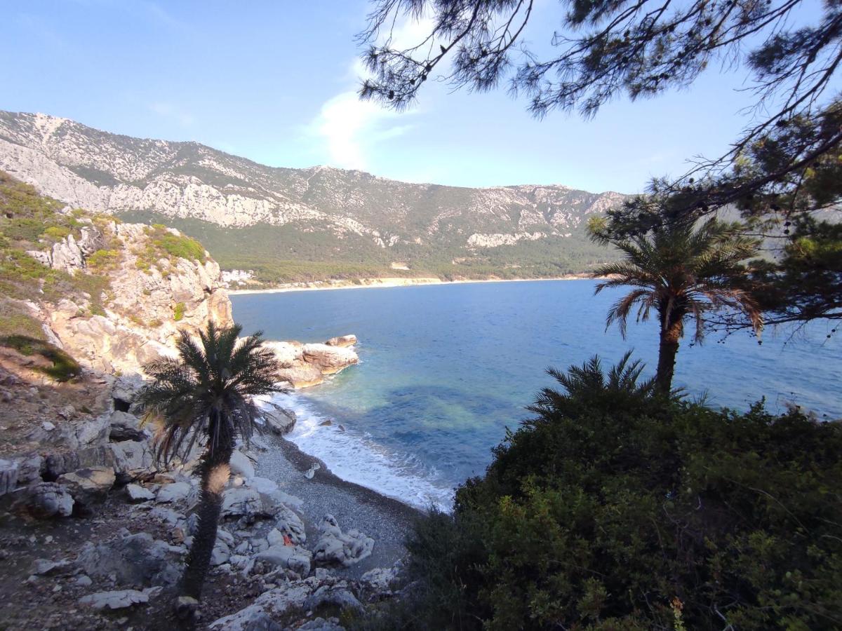 Hurmalık Apart Evleri-Very Close to the Sea Large Garden Bungalow with Barbecue and Swing - Housity
