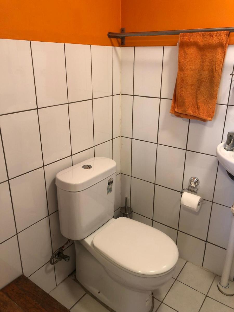 Frenchs Forest Studio Apartment - tranquil bush setting, pet friendly - Housity
