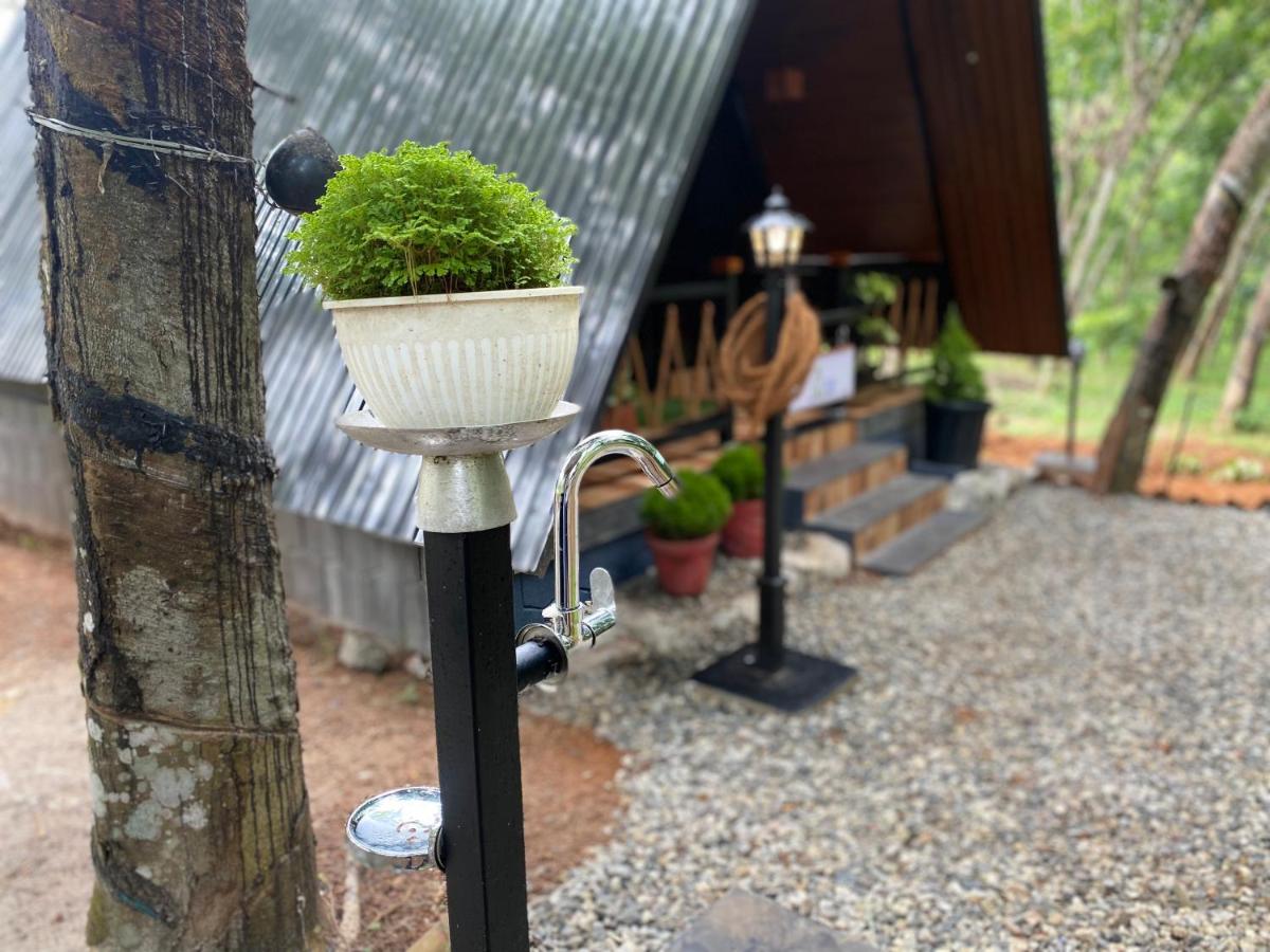Archh (A resort chain of home stay huts) - Housity