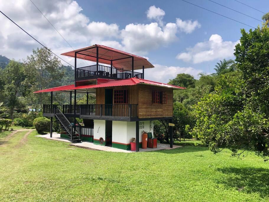 Cabaña tipo glamping en finca cafetera con zonas verdes, avistamiento de aves, paisaje cafetero - Housity