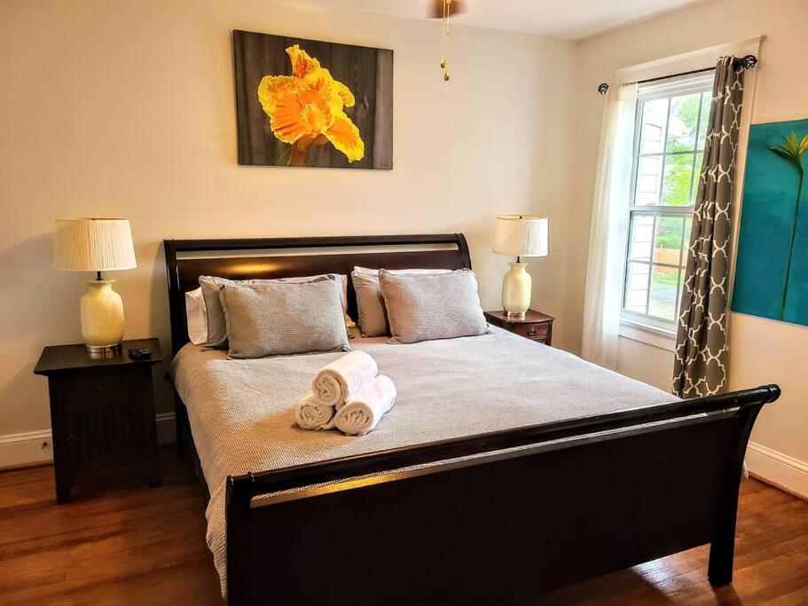 Colorful & Cozy 3-Bedroom Home in RVA - Housity