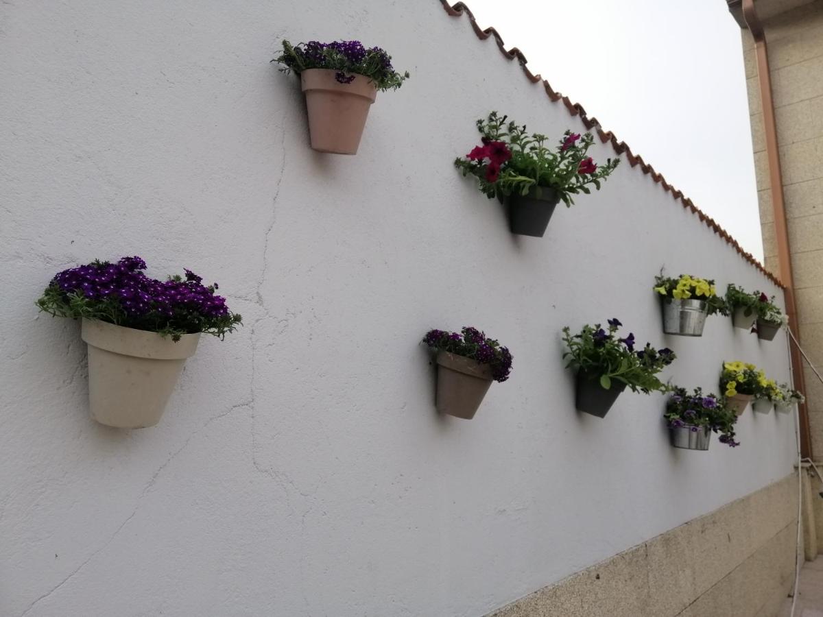 Casa Reibon - Housity