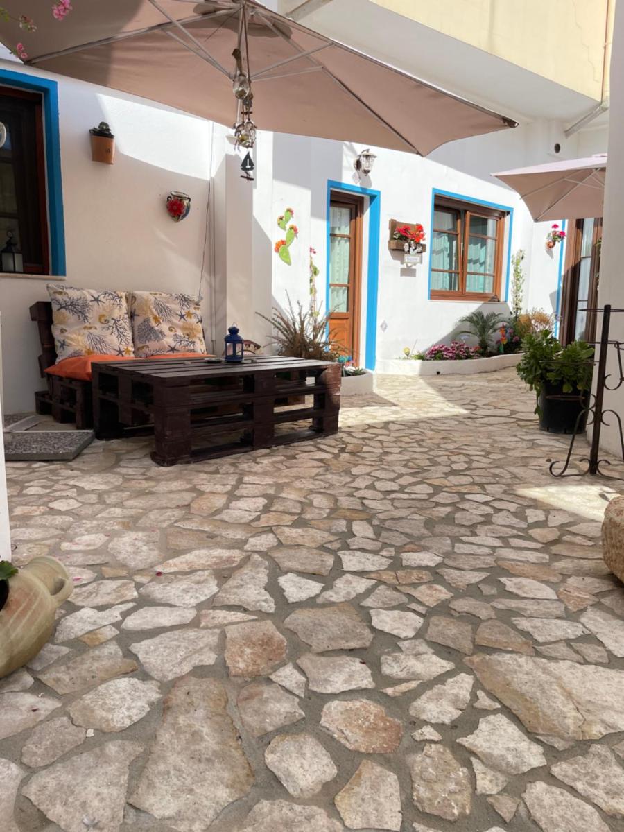 Canne al vento - Housity