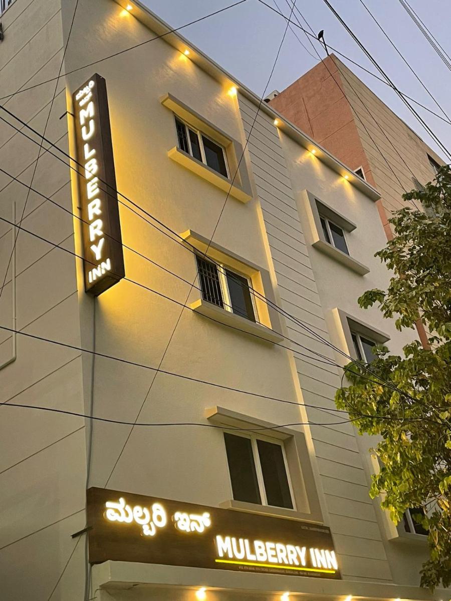Mulberry Inn - Hizvo