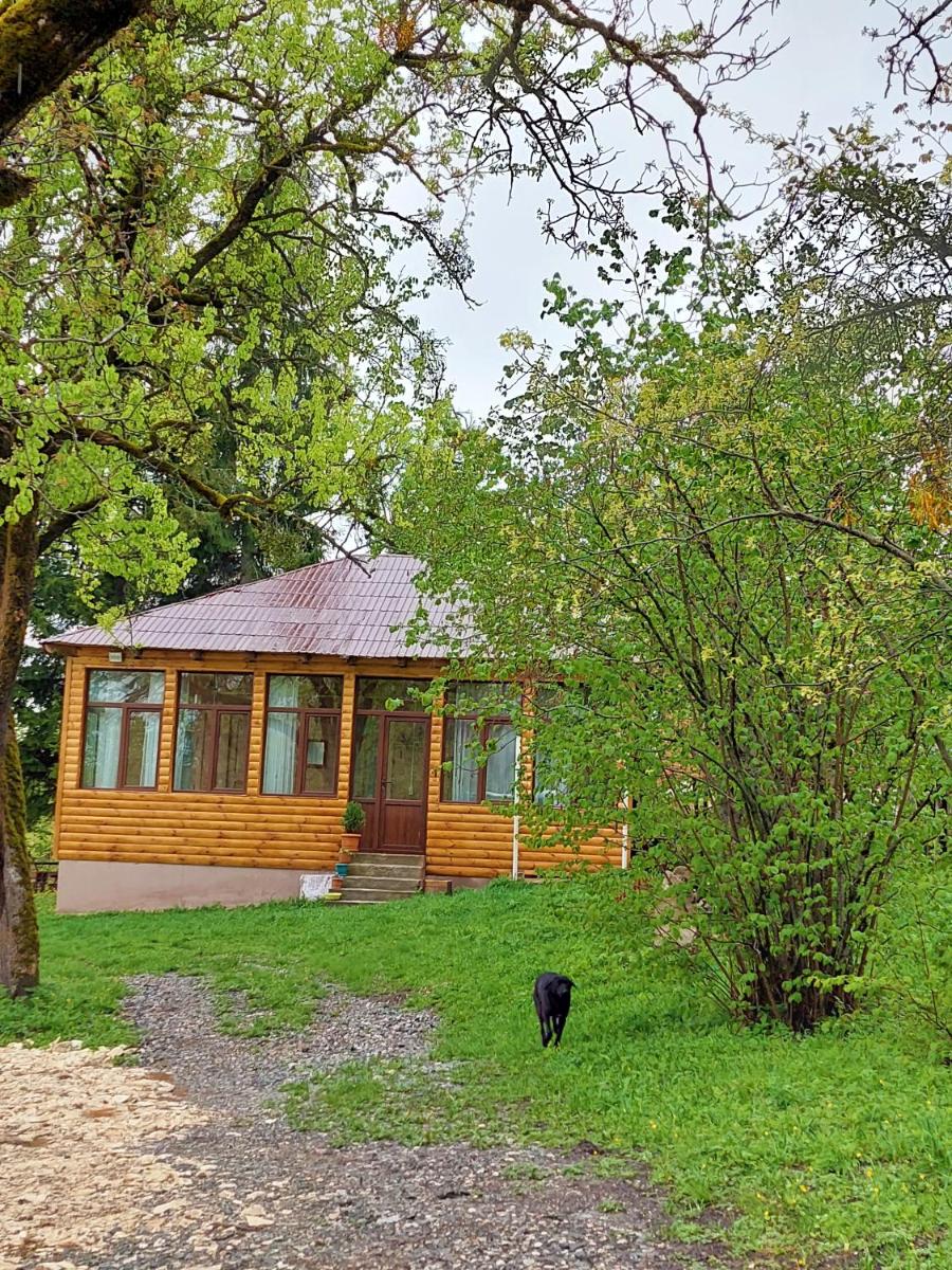Nikortsminda Holiday House - Housity