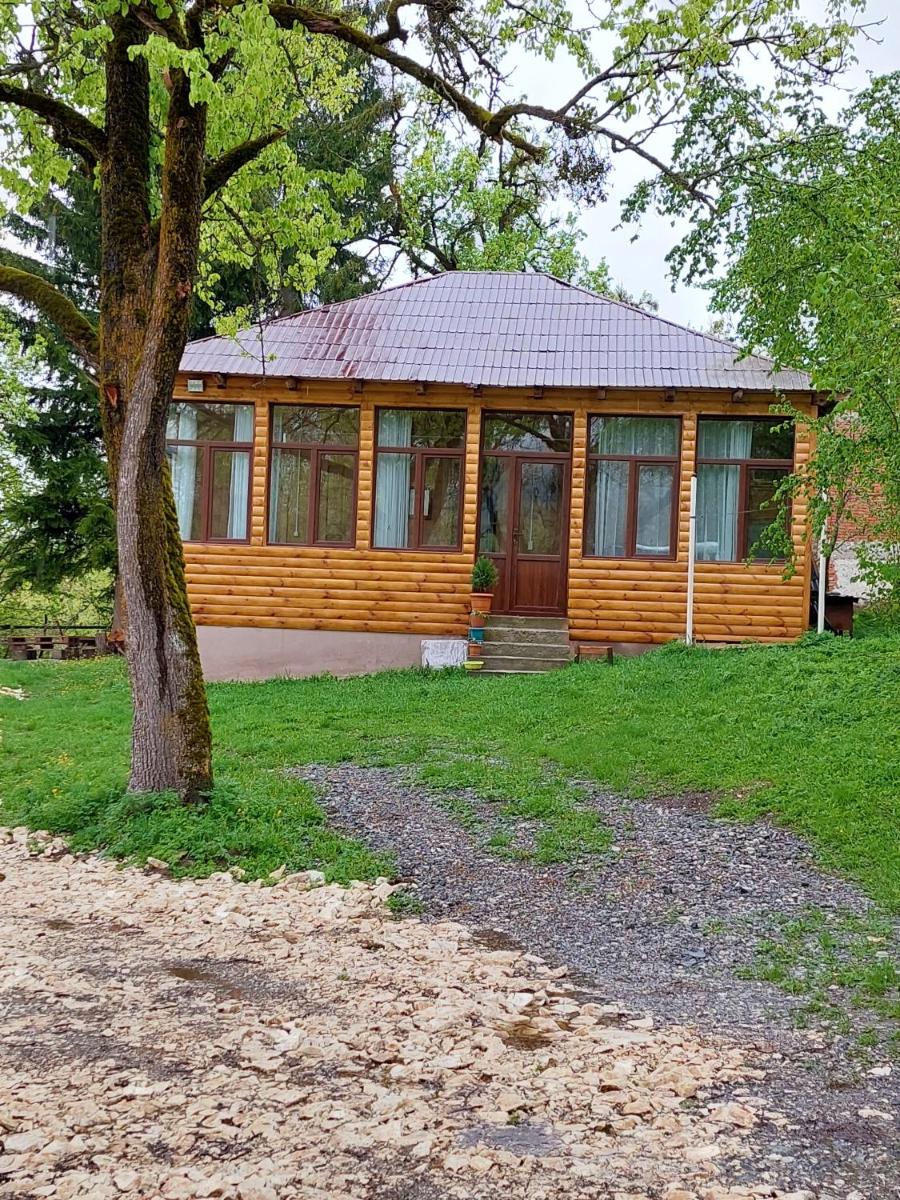 Nikortsminda Holiday House - Housity