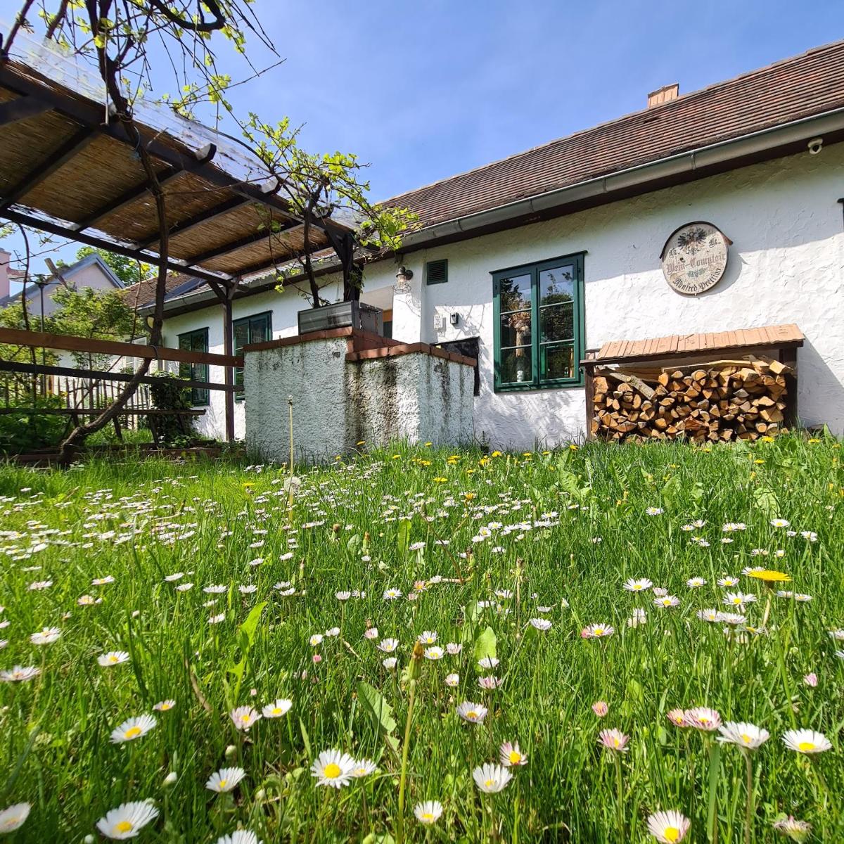 Landhaus Nitsch Appartement - Gästehaus Nitsch Appartement - Housity
