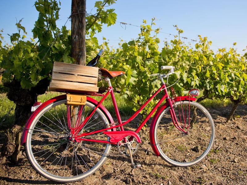 Suitetrails - Self-Check-in Hotel VinoQ Zisterdorf