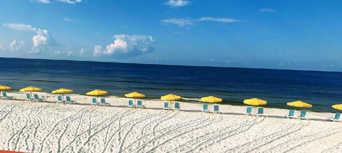 Casa Loma Panama City Beach - Beachfront - Housity