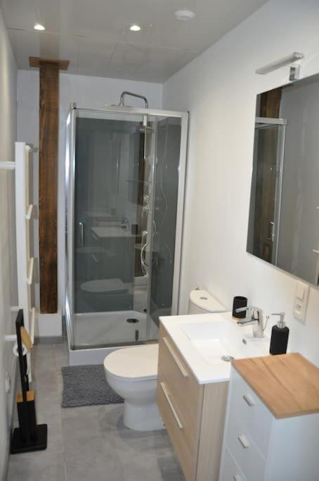Le Studio du Tanneur Selestadien - Housity