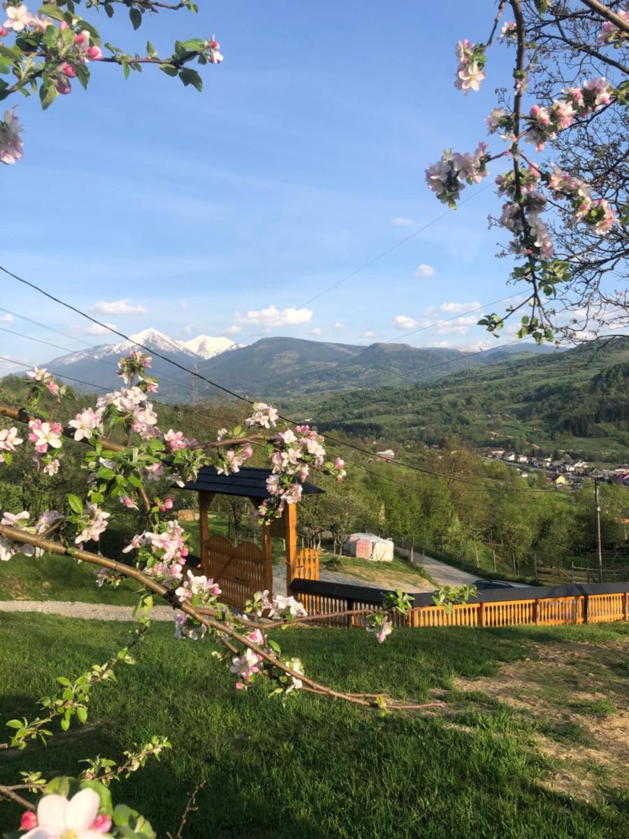 Cabana HATERE - Housity