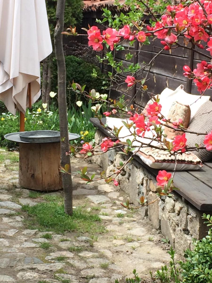 Darina Guest house - Housity