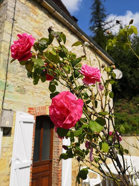 La maison de Zélia - Housity