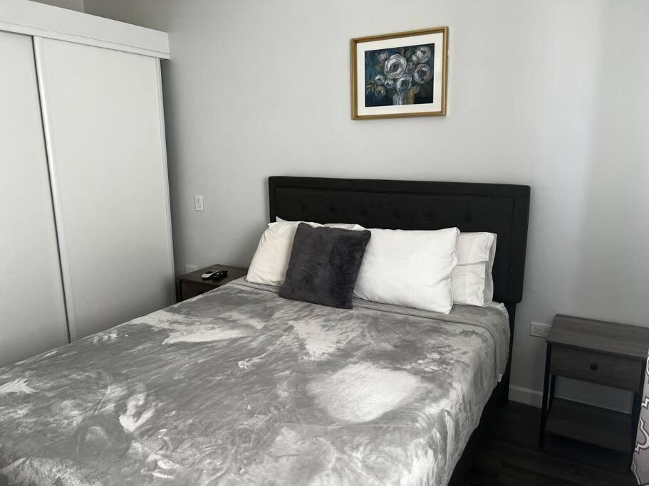 Spacious 1 Bedroom Apartment, With pull out Couch - Housity