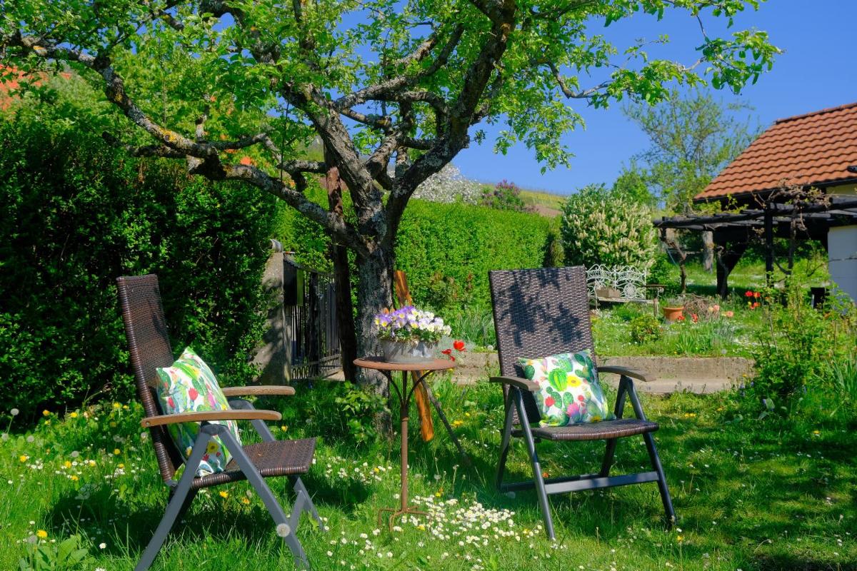 Ferienweingut Wissing Wohnung Theo - Housity