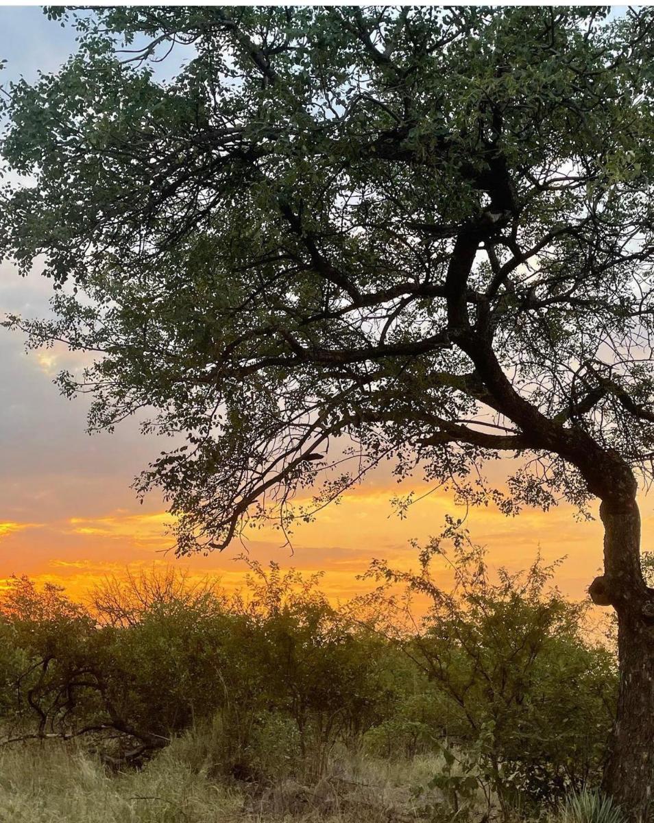 Suitetrails - Thula Private Lodge