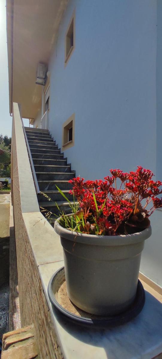 Nikos House Corfu - Housity