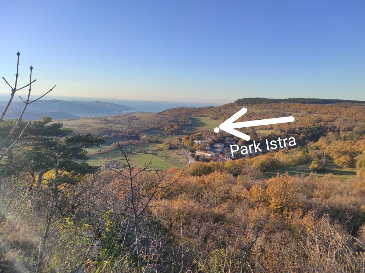2-bedroom holiday home in Park Istra - Housity