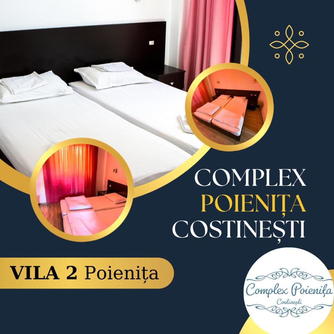 Vila II Poieniţa - Housity