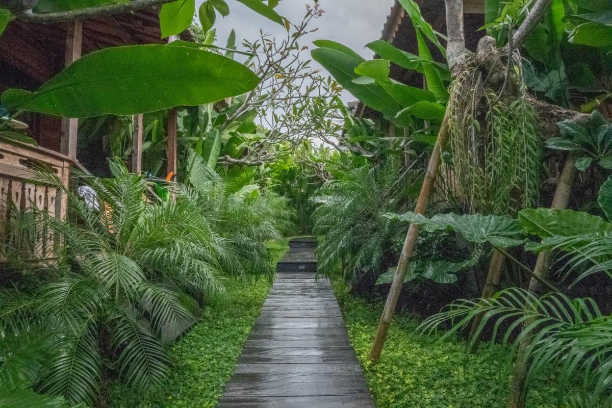 Bajalo Cottage Canggu - Housity