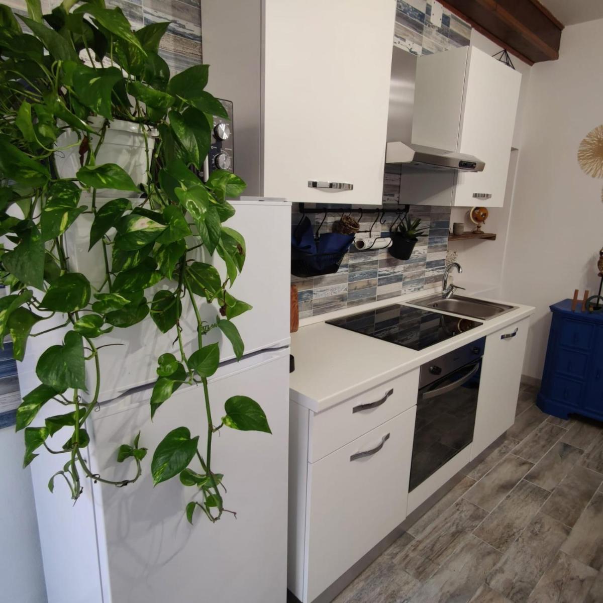 Maison Exotique - Riomaggiore / Cinque Terre / Beach Travel - Hizvo