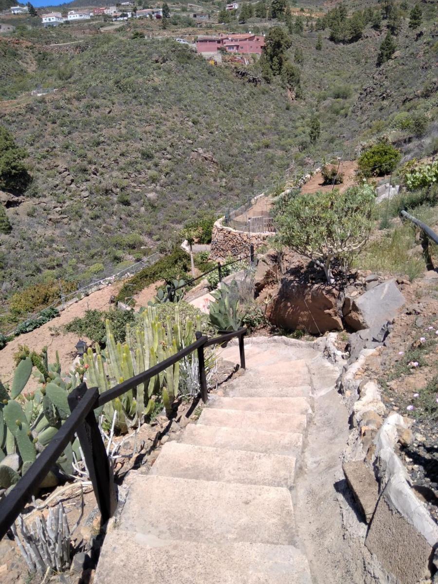 El Cañizo - Housity