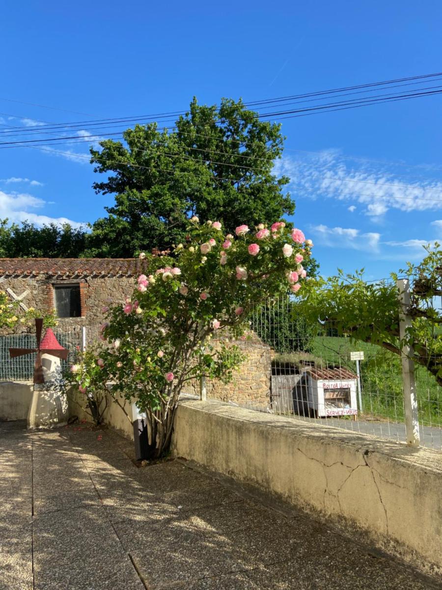 Le petit moulin - Housity