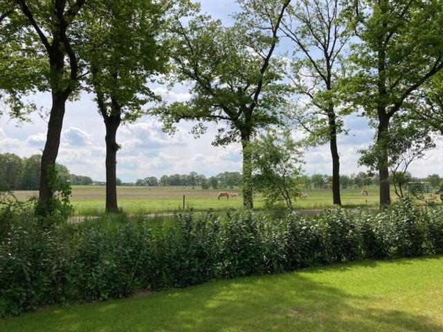 Achterhoekse vakantiewoning, infraroodsauna, geweldig uitzicht, goede bedden - Housity