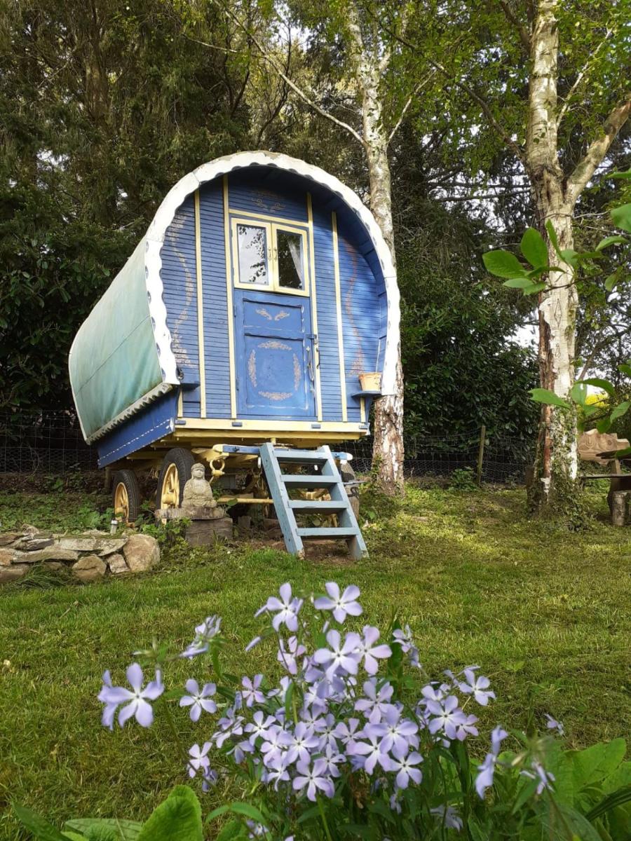 Retraite rustique en bordure de forêt à la campagne - Housity