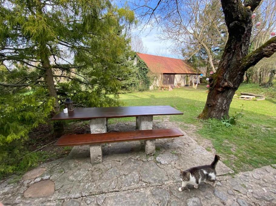 Romantická chalúpka na polosamote - Housity