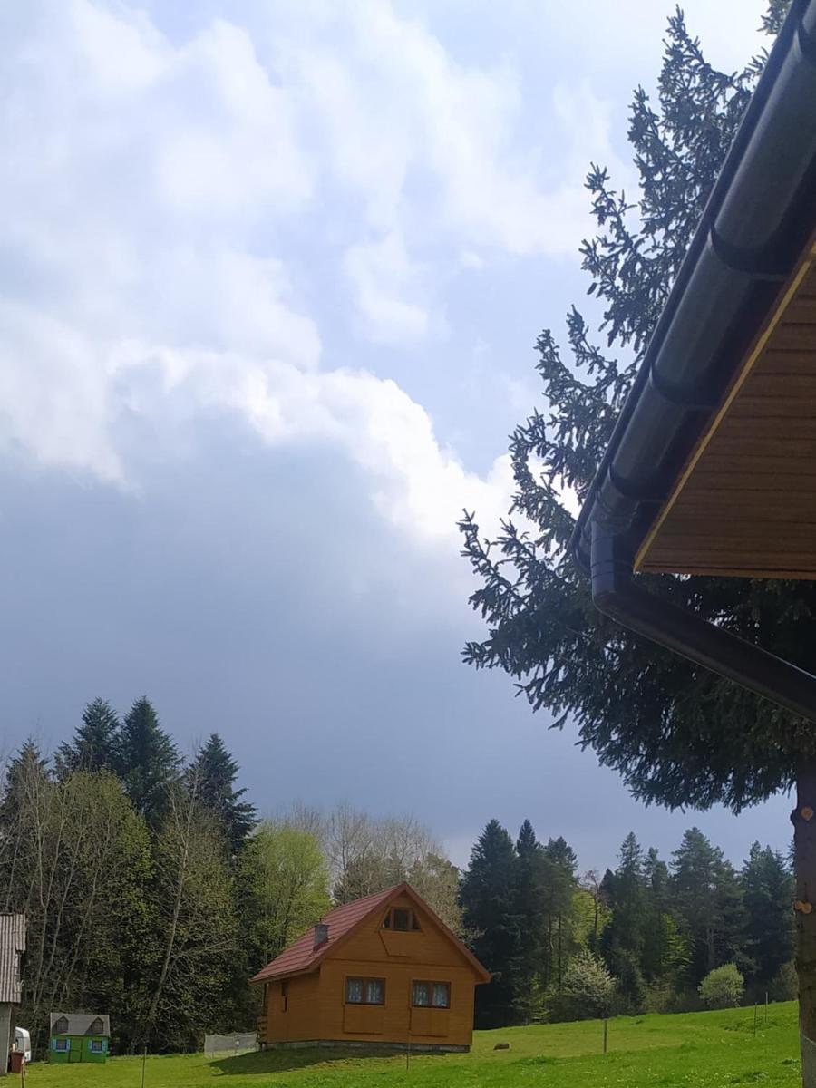 Przystanek Bieszczady - Housity