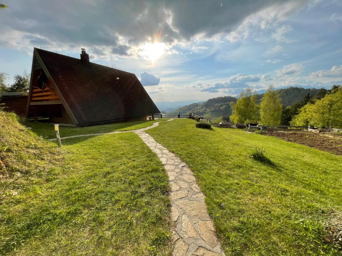 Mountain view cottage - Housity