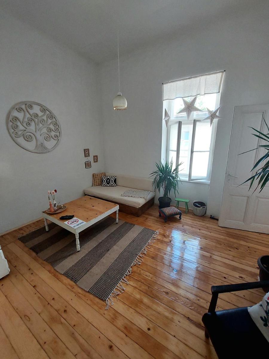 KEKA - apartment in hart of Vrsac - Housity