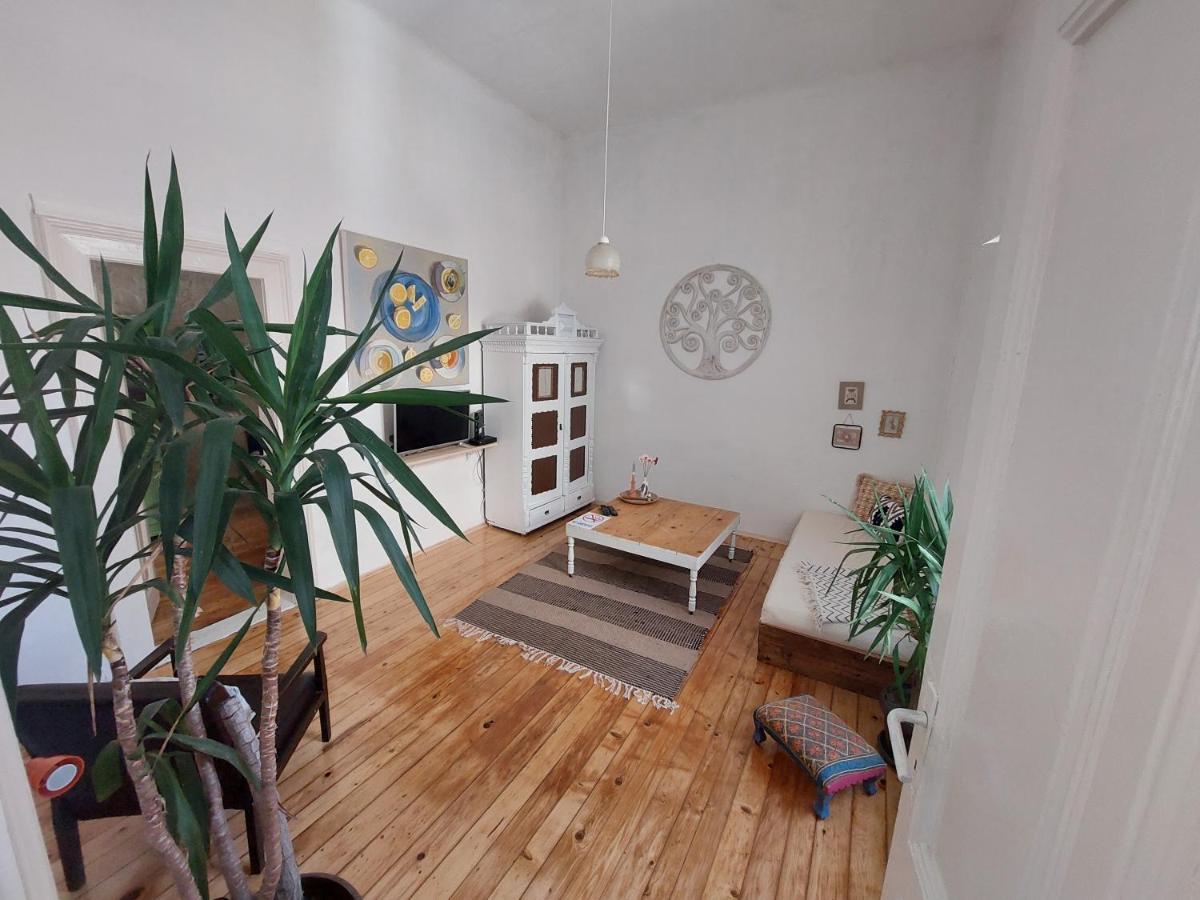 KEKA - apartment in hart of Vrsac - Housity
