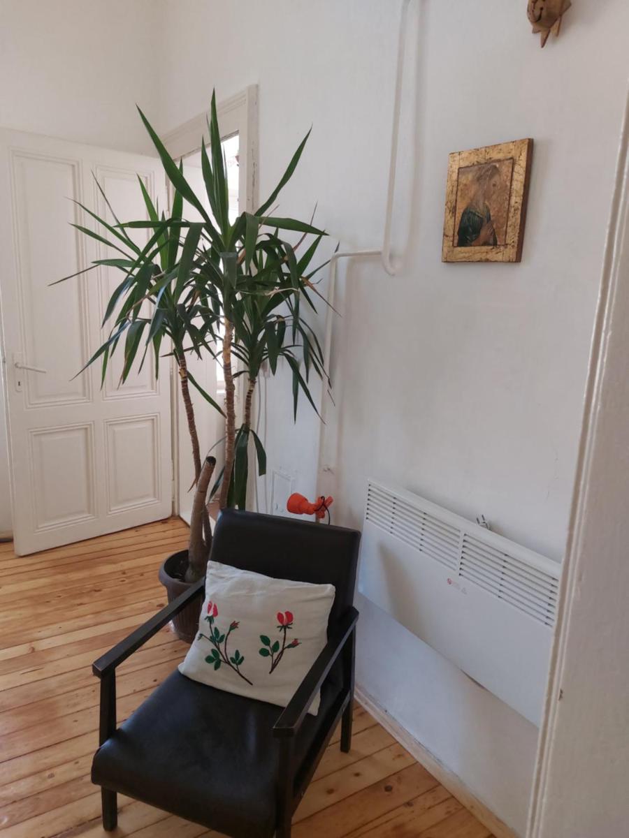 KEKA - apartment in hart of Vrsac - Housity