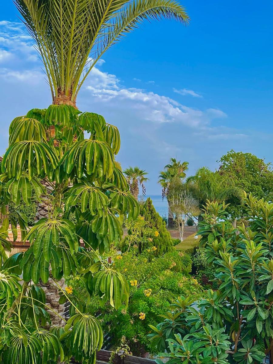 The Mediterranean Sea at your doorstep!! - Housity