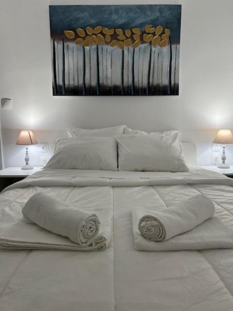 Peter & Paul white house - Housity