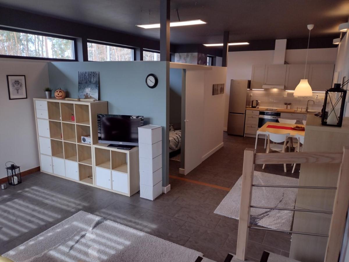 Apartament Łoś i Ryś - Housity